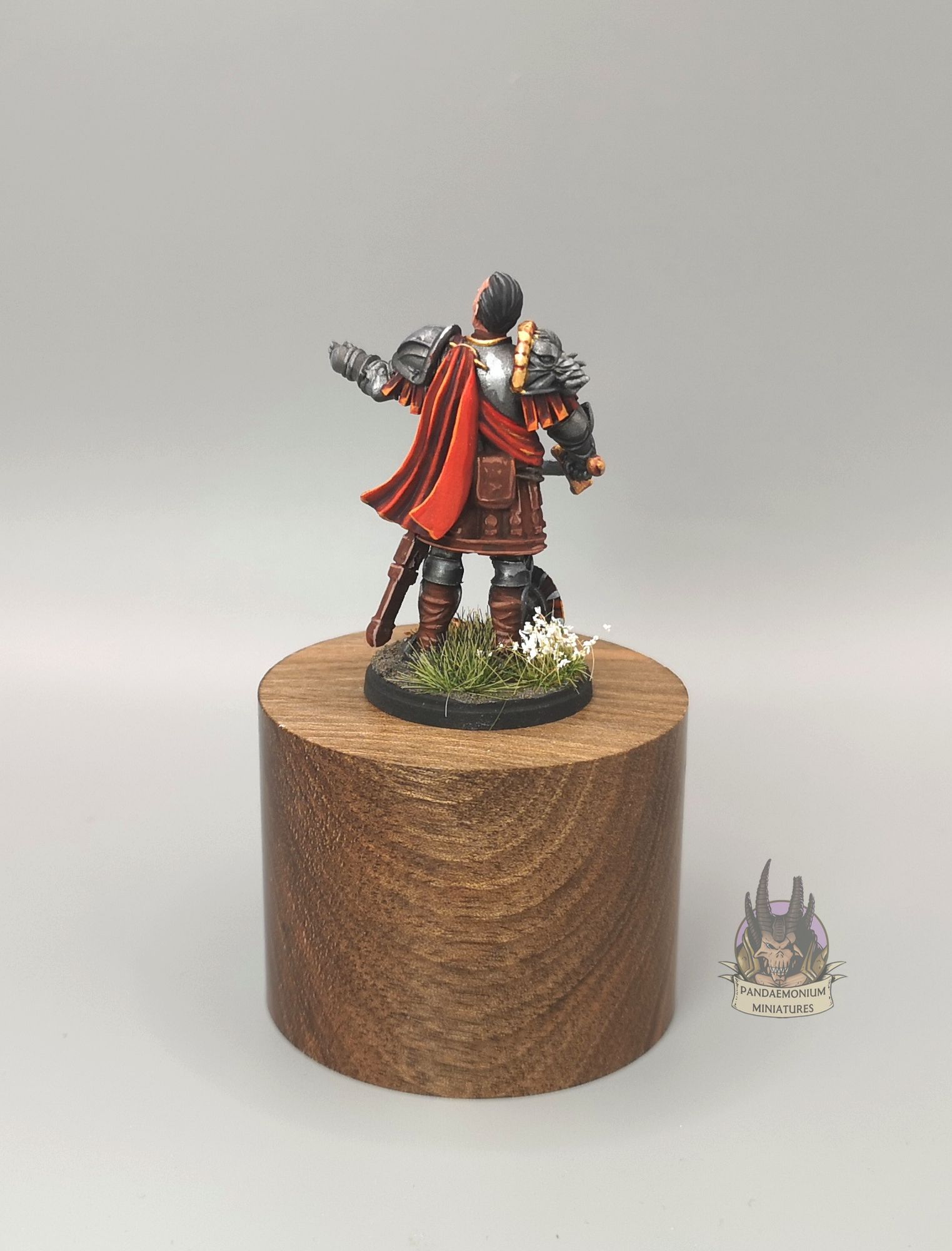 Imperial Officer image 1