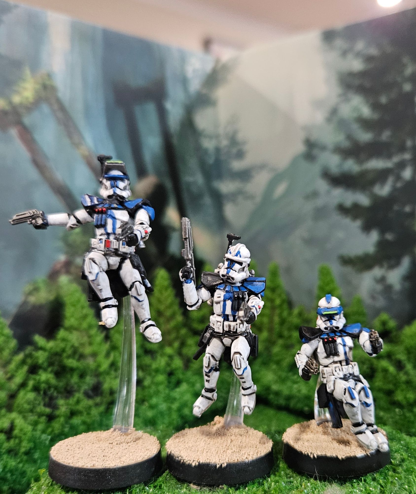 501st Legion image 3