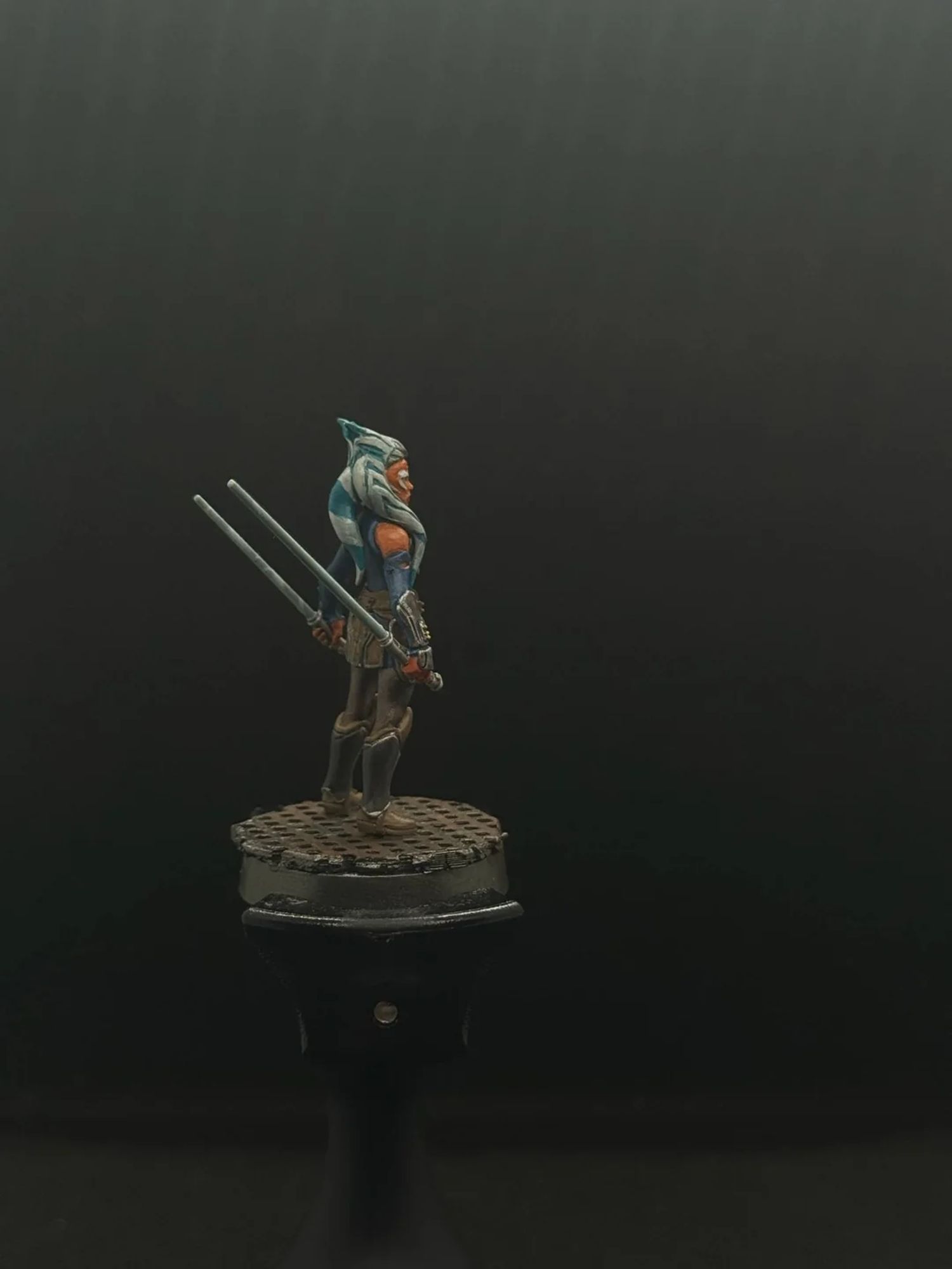 Ashoka Tano image 6