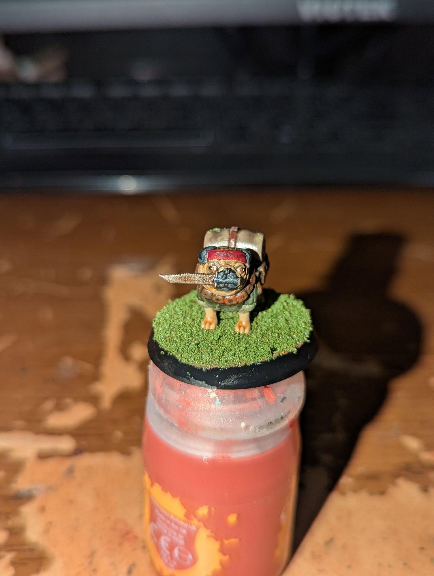 Cadian battle and Jungle Pugs image 4
