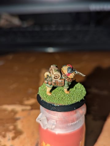 Cadian battle and Jungle Pugs thumbnail 6