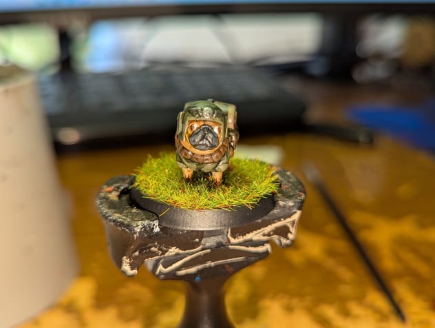 Cadian battle and Jungle Pugs thumbnail 1