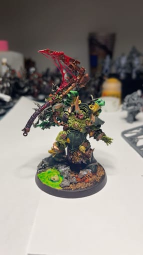 Typhus